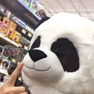 Meet your Posher, Lane